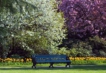    - PLD Travel